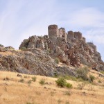 MORA