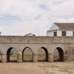 ORGAZ