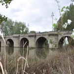 PUENTE MAYOR