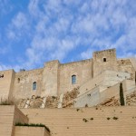 CASTILLO DEL REY
