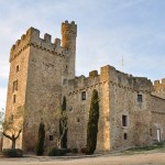 CASTILLO DE ARGUIJUELAS DE ARRIBA
